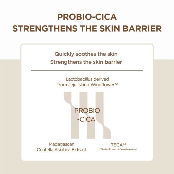 SKIN1004 Magadascar Centella Probio-Cica Intensive Ampoule 50ml - Image 4