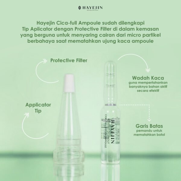 HAYEJIN Blessing Of Sprout CICA-Full System Ampoule - Image 3